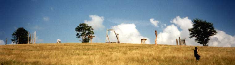 panoramical landscape picture (19kB)