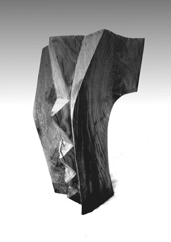 Torso